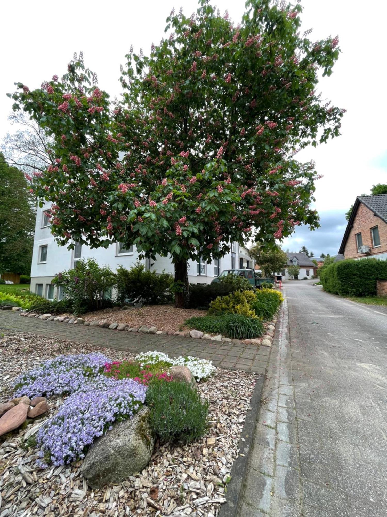 Hotel Luther Birke Wittenberg 外观 照片